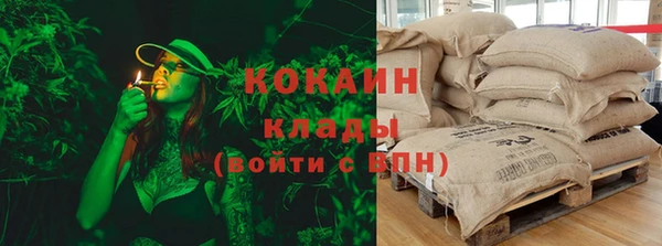 эйфоретик Шали