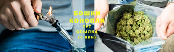 эйфоретик Шали